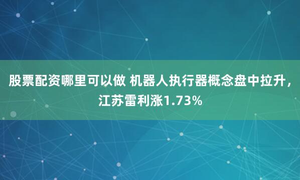 股票配资哪里可以做 机器人执行器概念盘中拉升，江苏雷利涨1.73%
