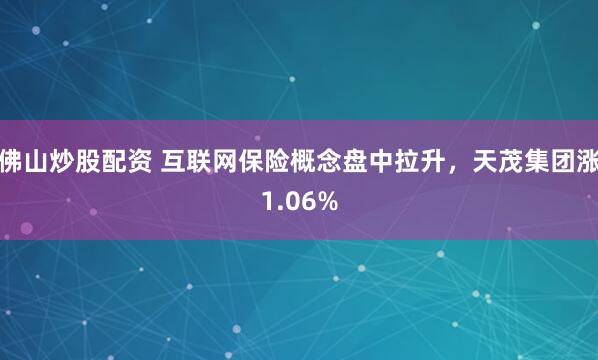 佛山炒股配资 互联网保险概念盘中拉升，天茂集团涨1.06%