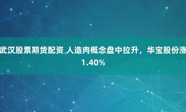 武汉股票期货配资 人造肉概念盘中拉升，华宝股份涨1.40%