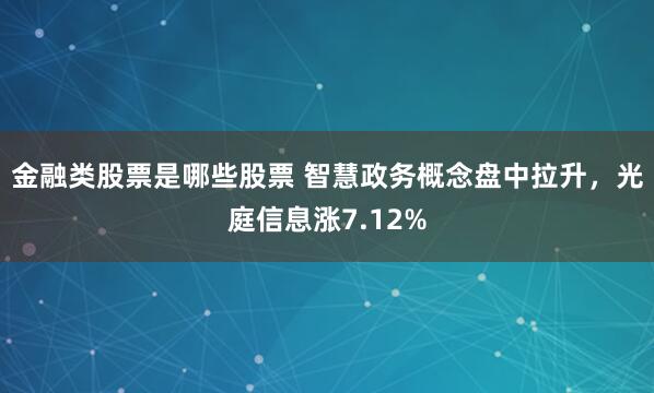 金融类股票是哪些股票 智慧政务概念盘中拉升，光庭信息涨7.12%