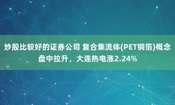 炒股比较好的证券公司 复合集流体(PET铜箔)概念盘中拉升，大连热电涨2.24%