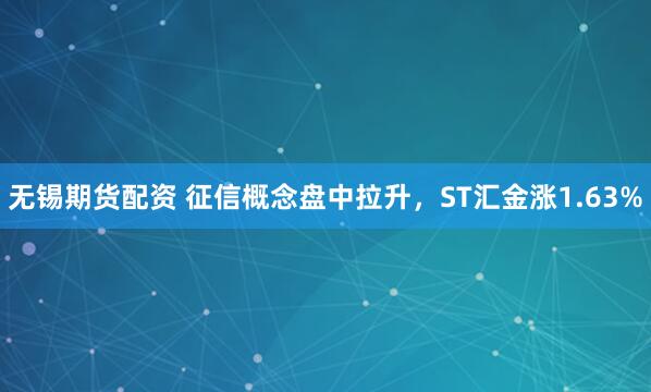 无锡期货配资 征信概念盘中拉升，ST汇金涨1.63%