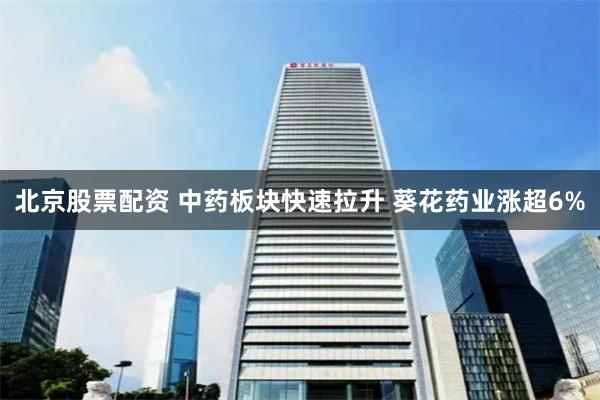 北京股票配资 中药板块快速拉升 葵花药业涨超6%