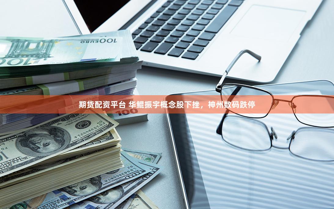 期货配资平台 华鲲振宇概念股下挫，神州数码跌停