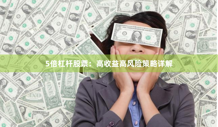 5倍杠杆股票：高收益高风险策略详解